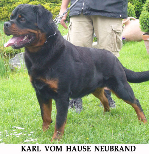 Karl vh Neubrand