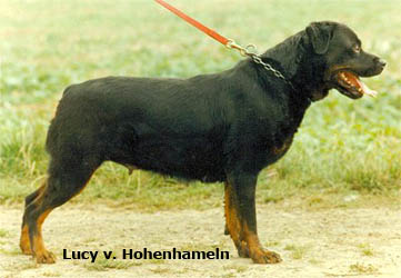 Lucy v Hohenhamlen